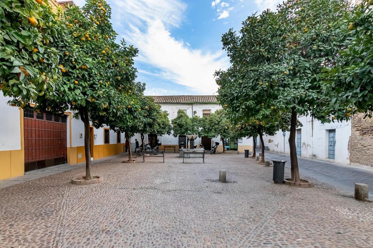 Bhost - Regina VI Apartment Córdoba Exterior foto